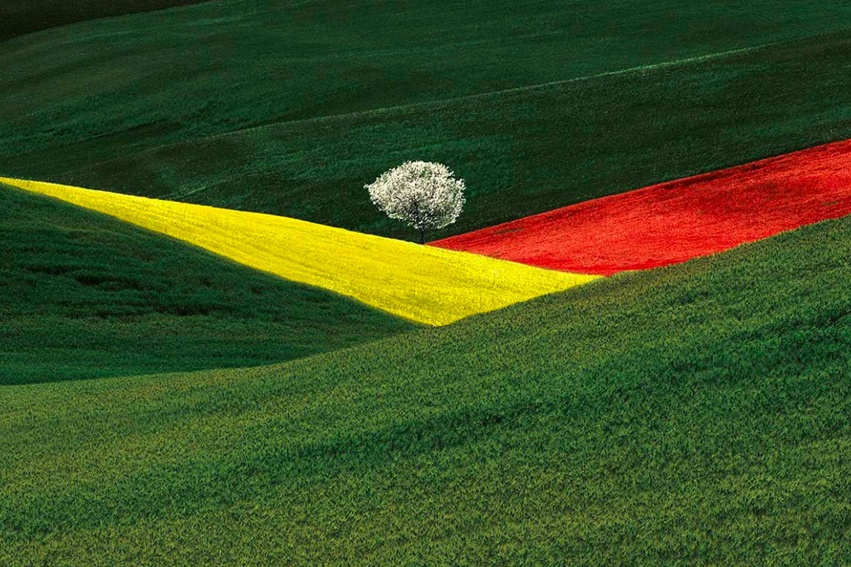 roma-franco-fontana-retrospective-fuorisalone-milano